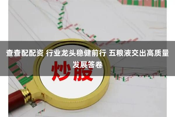 查查配配资 行业龙头稳健前行 五粮液交出高质量发展答卷